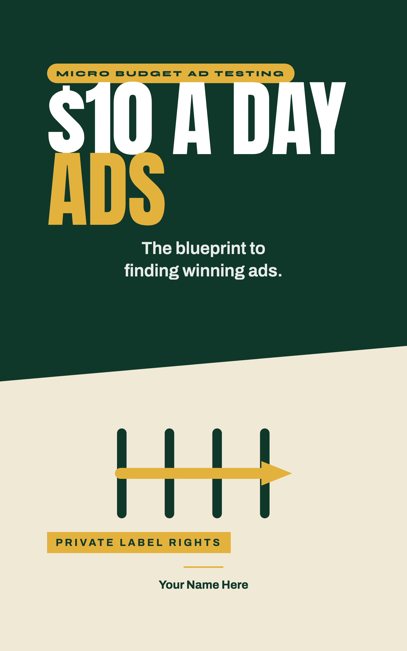 $10 A Day Ads, rebrandable PLR ebook cover
