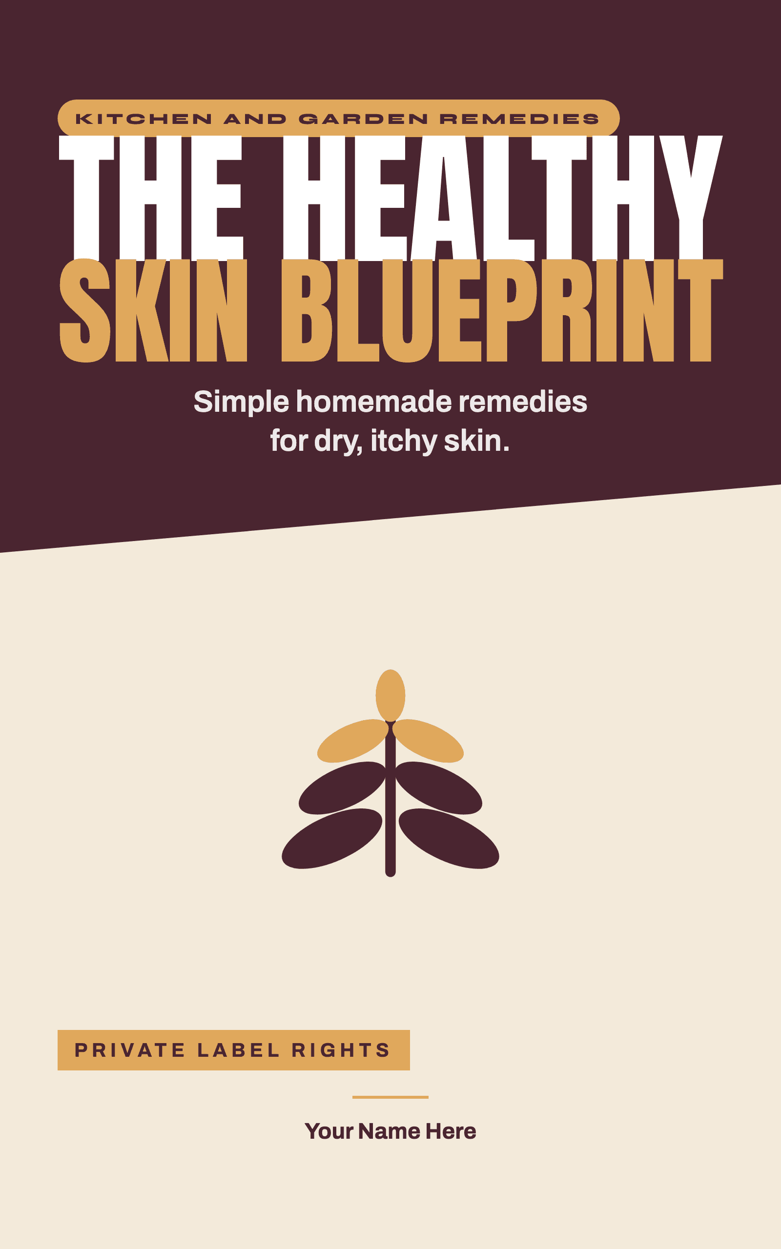 The Healthy Skin Blueprint cover