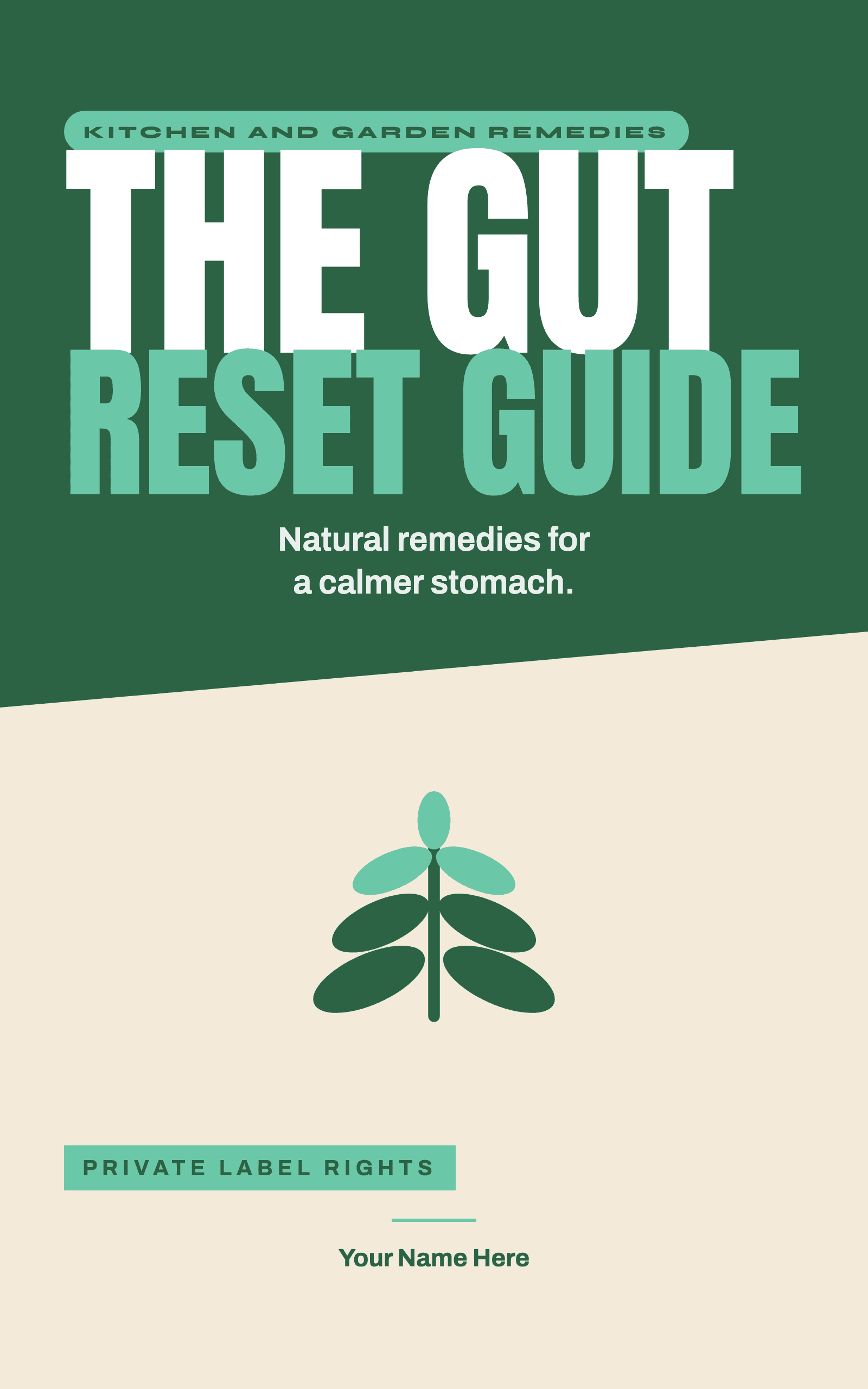 The Gut Reset Guide, rebrandable PLR ebook cover